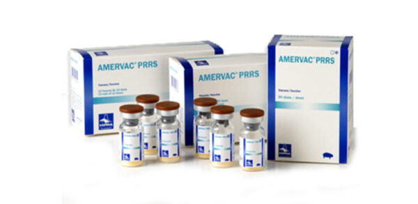 AMERVAC PRRS