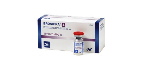 BRONIPRA 1