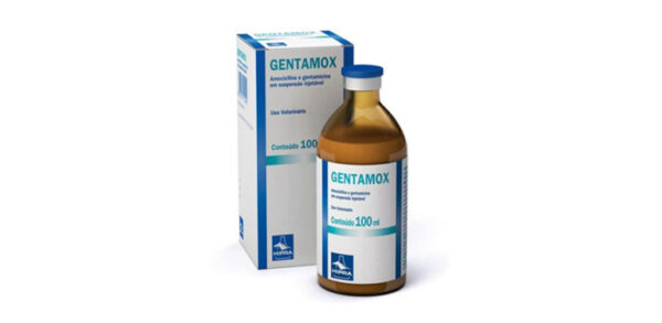 GENTAMOX