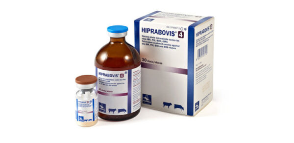 HIPRABOVIS